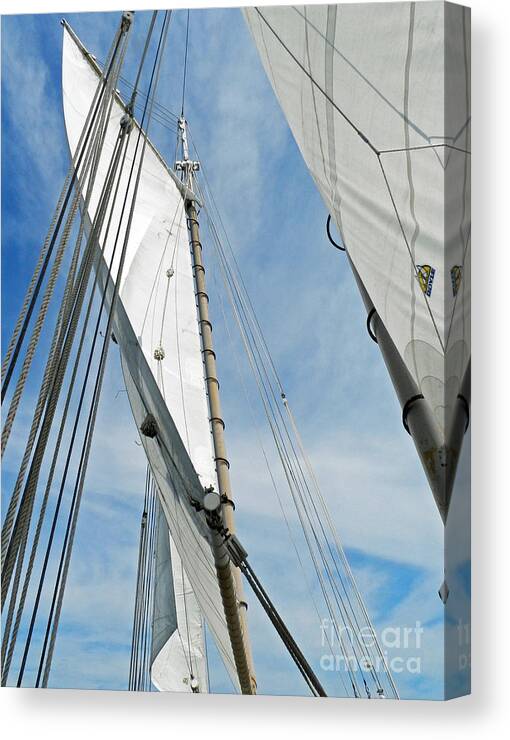 Sailboat Canvas Print featuring the photograph Sail Away by Deborah Ferree
