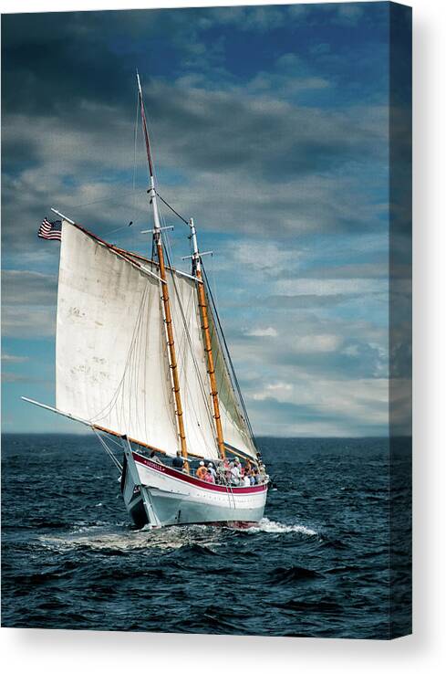 Windjammers Canvas Print featuring the photograph Schooner Ardelle by Fred LeBlanc