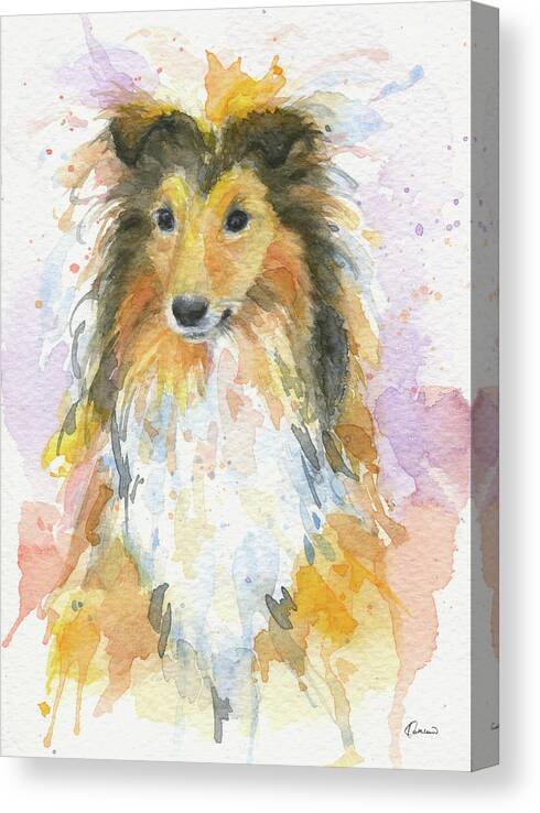 Sheltie Canvas Print featuring the painting Sheltie by Kathleen Wong