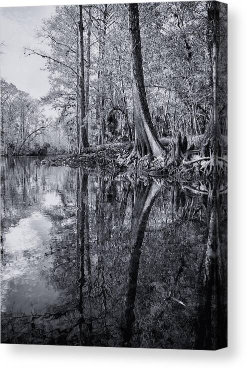 Crystal Yingling Canvas Print featuring the photograph Silver River by Ghostwinds Photography