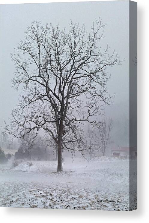 Winter Canvas Print featuring the photograph Snowy Walnut by Denise Romano