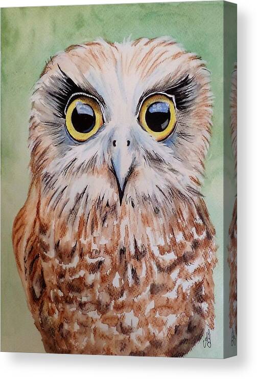 Watercolour Canvas Print featuring the painting Southern Boobook Owl by Anne Gardner