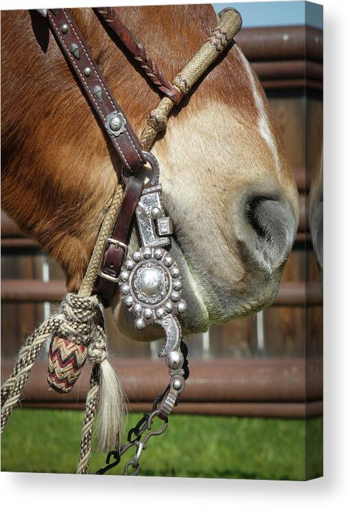 Riata Roping 2013 Canvas Print featuring the photograph Spade Bit by Diane Bohna