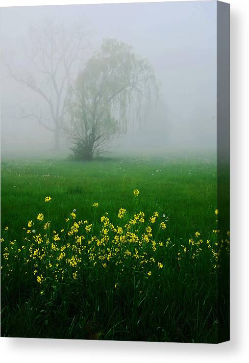 Wildflowers Canvas Print featuring the photograph Spring wildflowers by Bill Jonscher