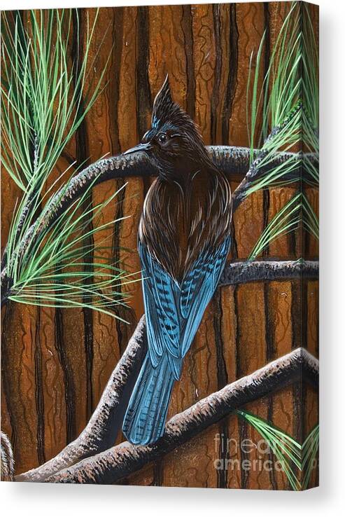 Bird Canvas Print featuring the painting Stellar Jay by Jennifer Lake