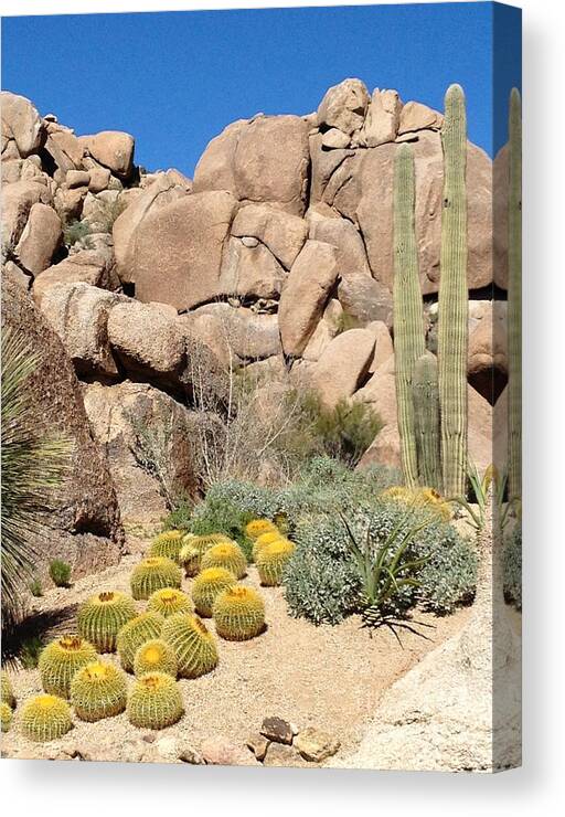 Desert Canvas Print featuring the photograph Still Life in Desert by Glenda Zuckerman