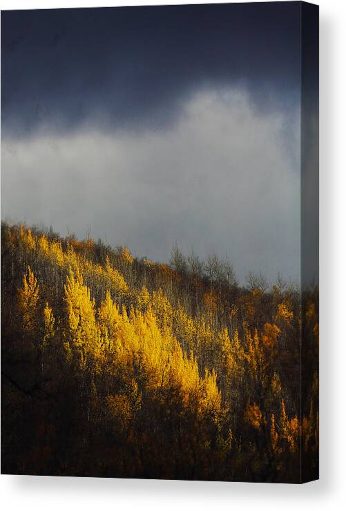 Sun Canvas Print featuring the photograph Sunrays Under the Clouds by Pekka Sammallahti