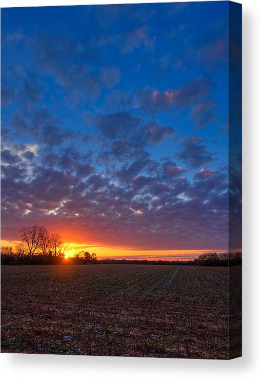 Sunset Canvas Print featuring the photograph Sunset Field by Brad Boland