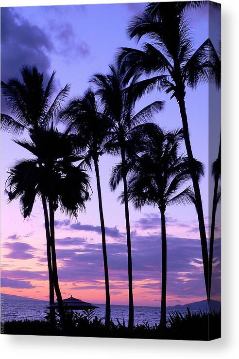 Palm Trees Canvas Print featuring the photograph Sunset on the Palms by Debbie Karnes