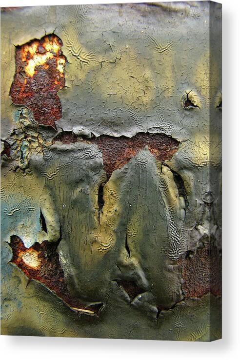 Washington Canvas Print featuring the photograph Surface Features by Char Szabo-Perricelli