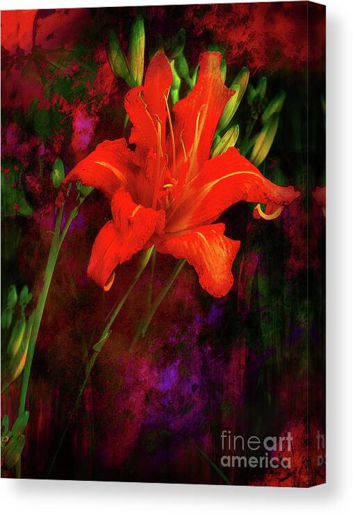 Flowers Canvas Print featuring the photograph Surprise by John Anderson