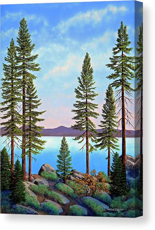 Gouache Canvas Print featuring the painting Tall Pines Of Lake Tahoe by Frank Wilson