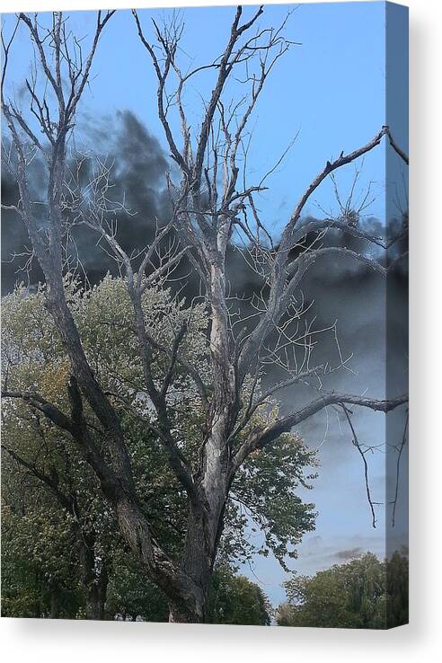 Tree Canvas Print featuring the photograph The Height of Rodomontade by Char Szabo-Perricelli