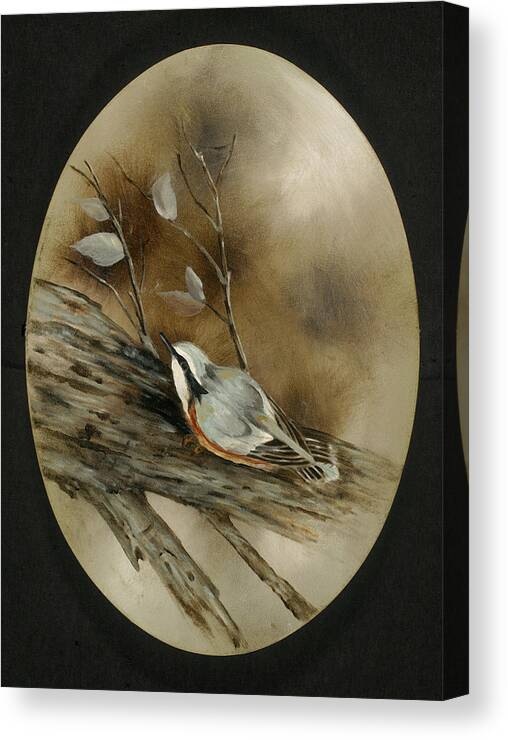 Wild Life Canvas Print featuring the painting The Nuthatch by Betty Stevens