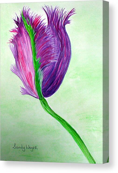 Tulip Canvas Print featuring the painting Tulip1 by Sandy Wager
