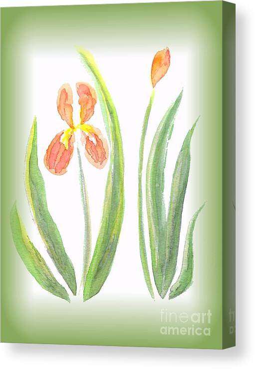 Art Canvas Print featuring the painting Two Orange Iris green frame by Delynn Addams