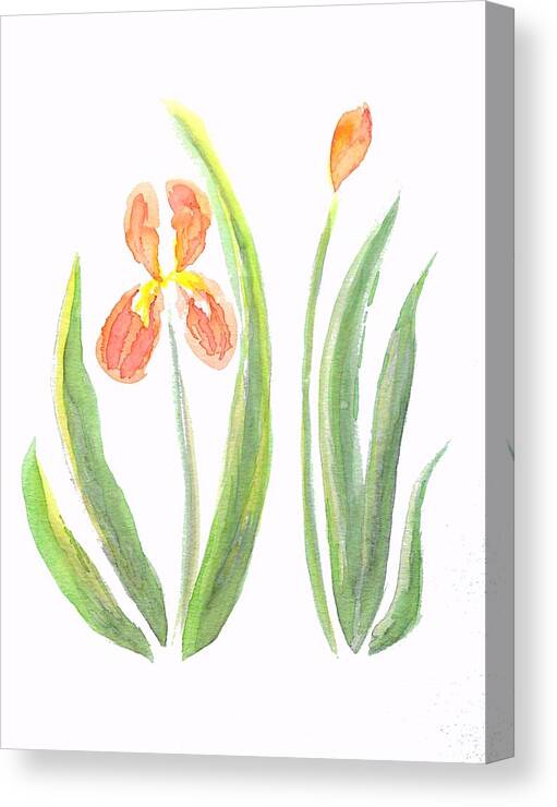 Art Canvas Print featuring the painting Two Iris II watercolor by Delynn Addams