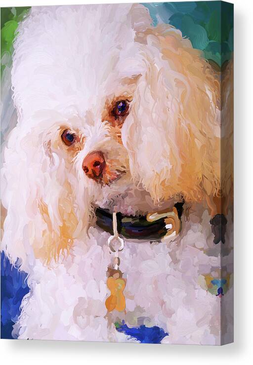 White Canvas Print featuring the painting White Poodle by Jai Johnson