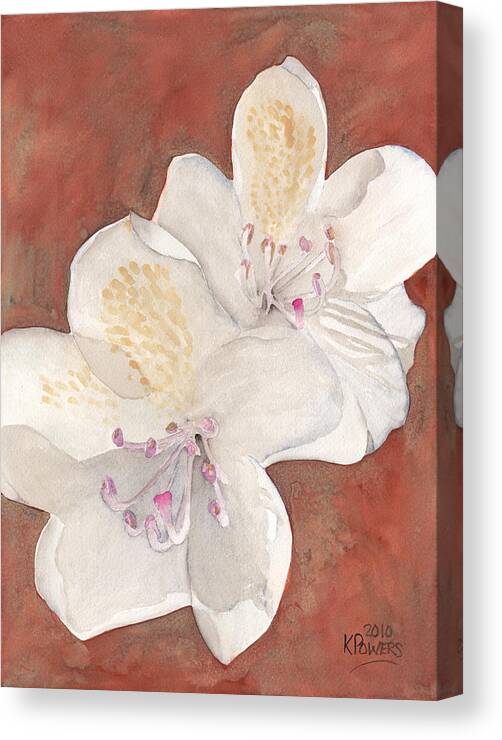 White Canvas Print featuring the painting White Rhododendron by Ken Powers