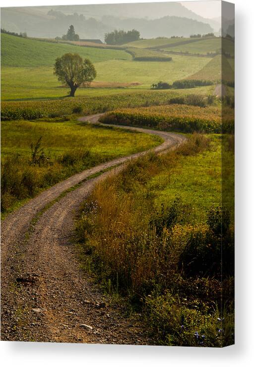 Landscapes Canvas Print featuring the photograph Willow by Davorin Mance