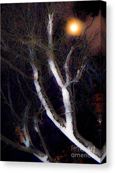 Winter Moon Canvas Print featuring the photograph Winter Moon by Sabrina Ramina