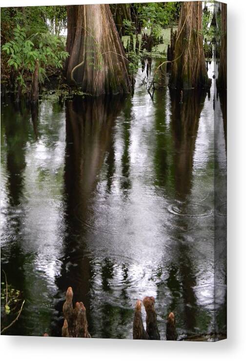Withlacoochee River Canal Reflections Canvas Print featuring the photograph Withlacoochee River Canal Reflections by Warren Thompson