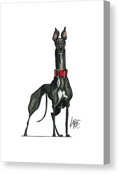 Greyhound Canvas Print featuring the drawing Woerner 3596 by John LaFree