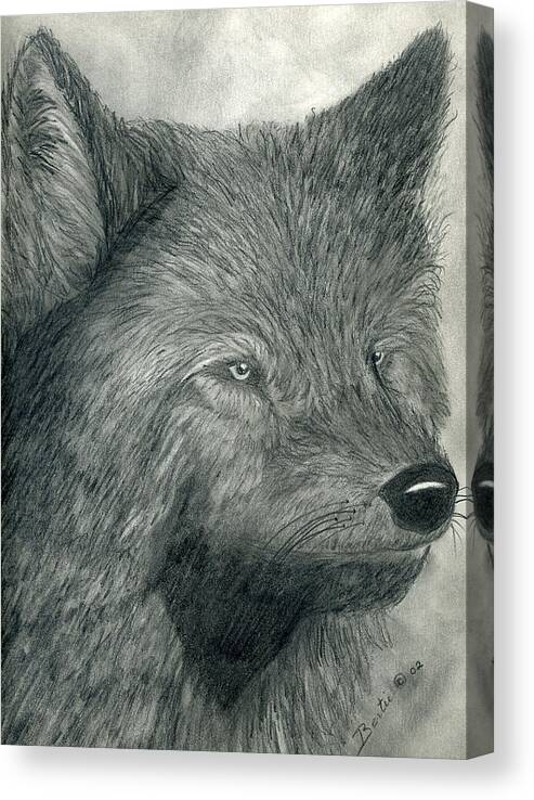 Wolf Canvas Print featuring the drawing Wolf by Bertie Edwards