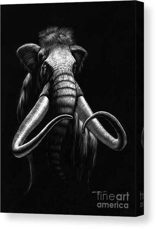 Wildlife Canvas Print featuring the drawing Woolly Mammoth by Stanley Morrison