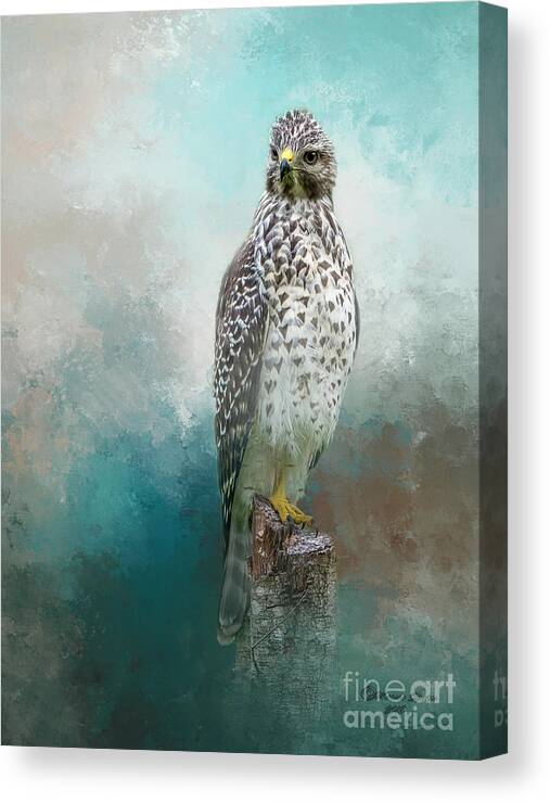 Bird Canvas Print featuring the mixed media Young Eyes by Marvin Spates