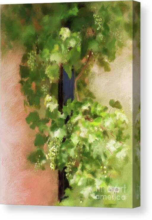 Grapes Canvas Print featuring the digital art Young Greek Wine by Lois Bryan