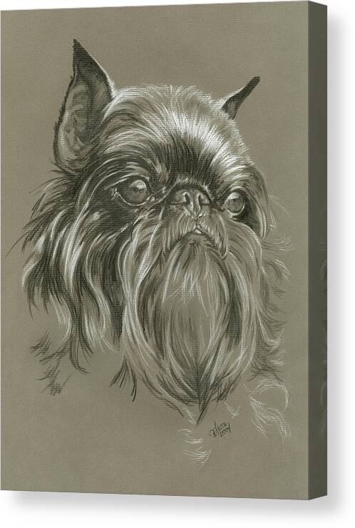 Brussels Griffon Canvas Print featuring the painting Brussels Griffon #1 by Barbara Keith