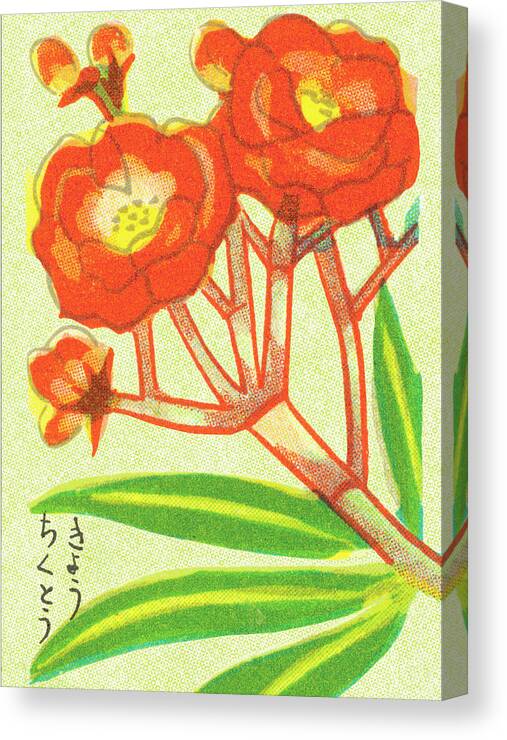Asian Canvas Print featuring the drawing Flowers #18 by CSA Images