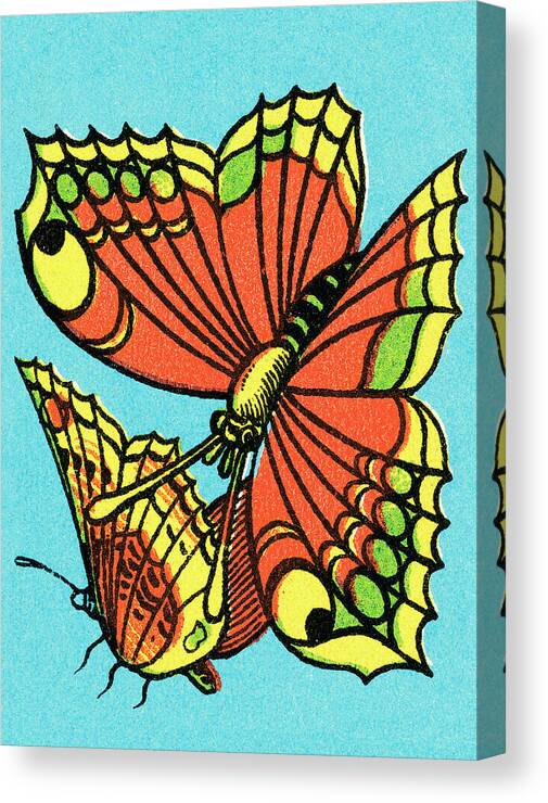 Animal Canvas Print featuring the drawing Butterflies by CSA Images