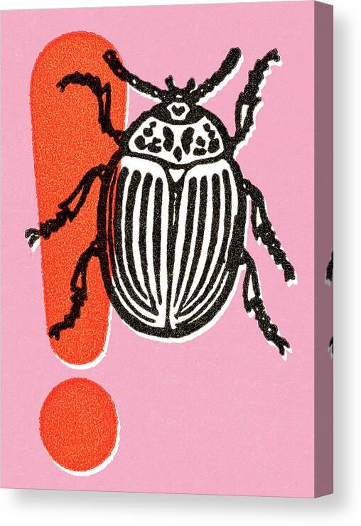 Animal Canvas Print featuring the drawing Insect #32 by CSA Images