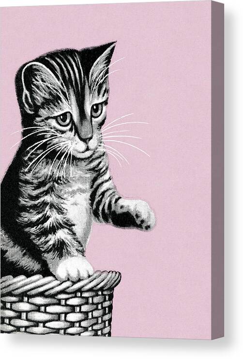Animal Canvas Print featuring the drawing Kitten #34 by CSA Images