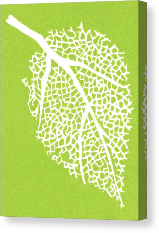 Autumn Canvas Print featuring the drawing Leaf by CSA Images
