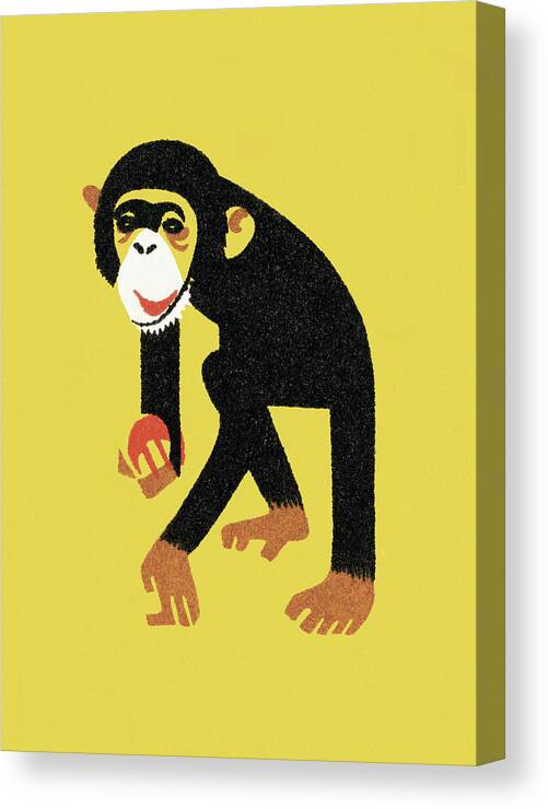 Animal Canvas Print featuring the drawing Monkey #9 by CSA Images