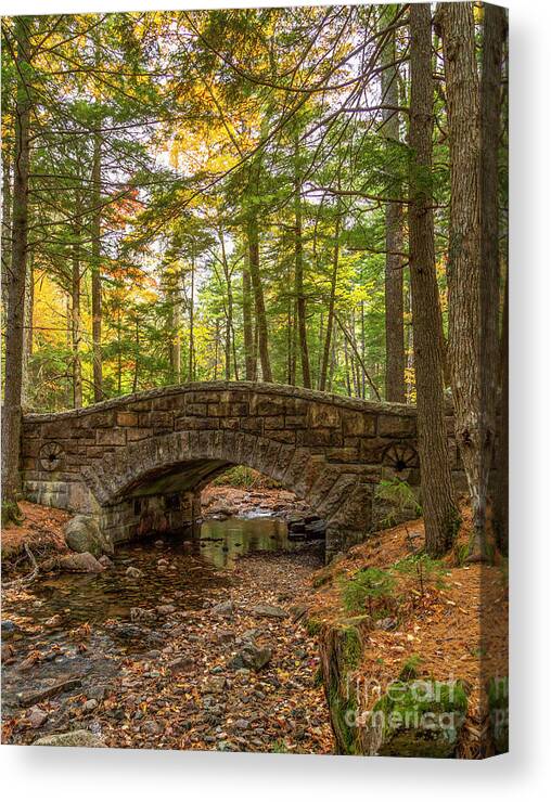 Autumn Canvas Print featuring the photograph Acadia Bridge by Karin Pinkham