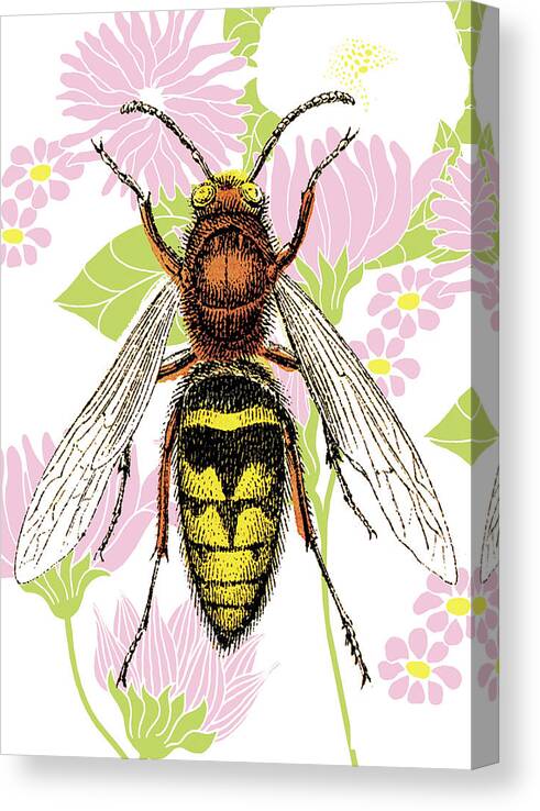 Animal Canvas Print featuring the drawing Bee on Flower Wallpaper by CSA Images