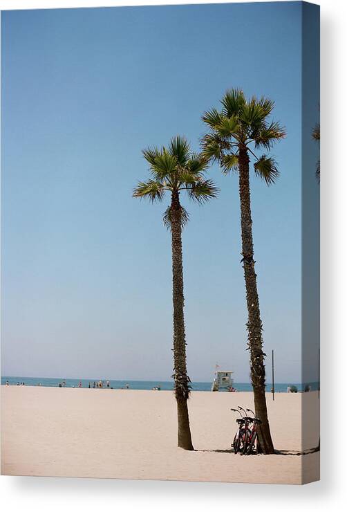 Tranquility Canvas Print featuring the photograph Bicycle Leaning On Palm Tree At Beach by Jörgen Persson - Www.rebusfilm.se