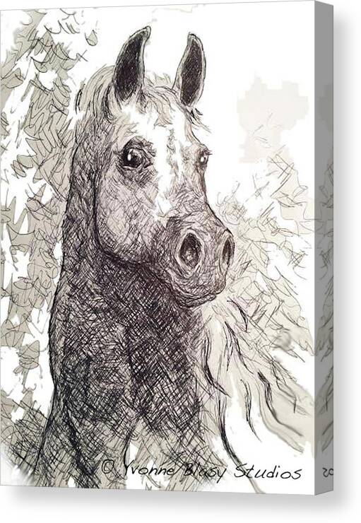 Equine Canvas Print featuring the drawing Do I Know You? by Yvonne Blasy