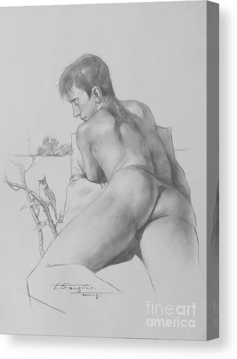Male Nude Canvas Print featuring the drawing Drawing-The bird is singing by Hongtao Huang