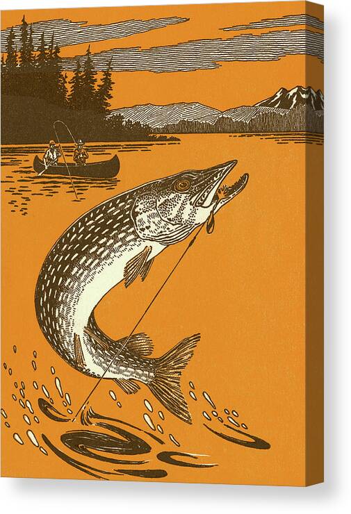 Activity Canvas Print featuring the drawing Fish on Hook by CSA Images