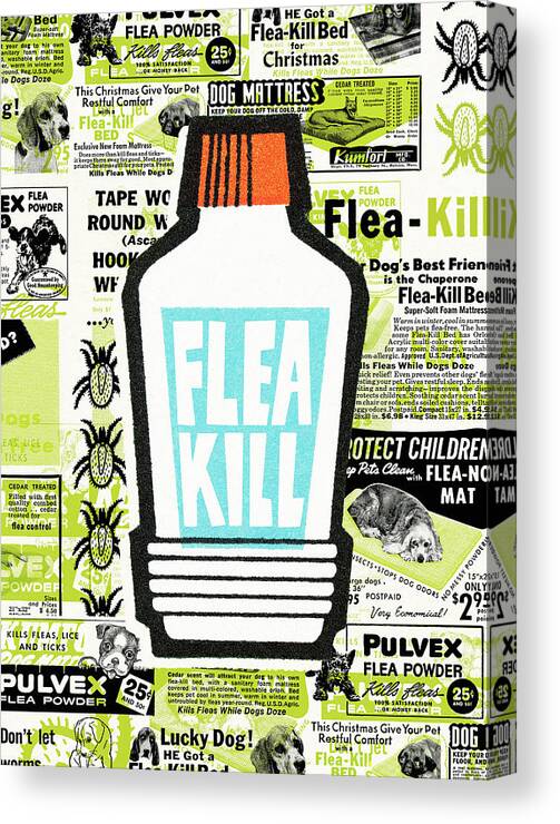 Ad Canvas Print featuring the drawing Flea kill by CSA Images