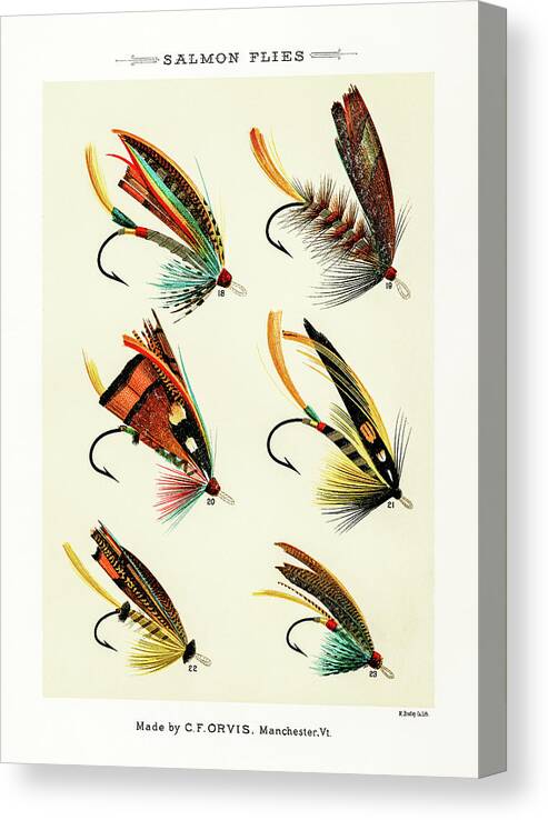 David Letts Canvas Print featuring the drawing Fly Fishing Lures 2 by David Letts