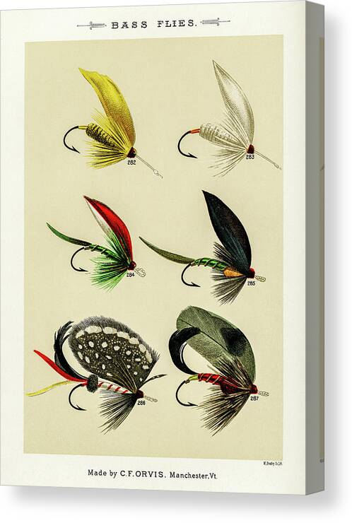David Letts Canvas Print featuring the drawing Fly Fishing Lures 31 by David Letts