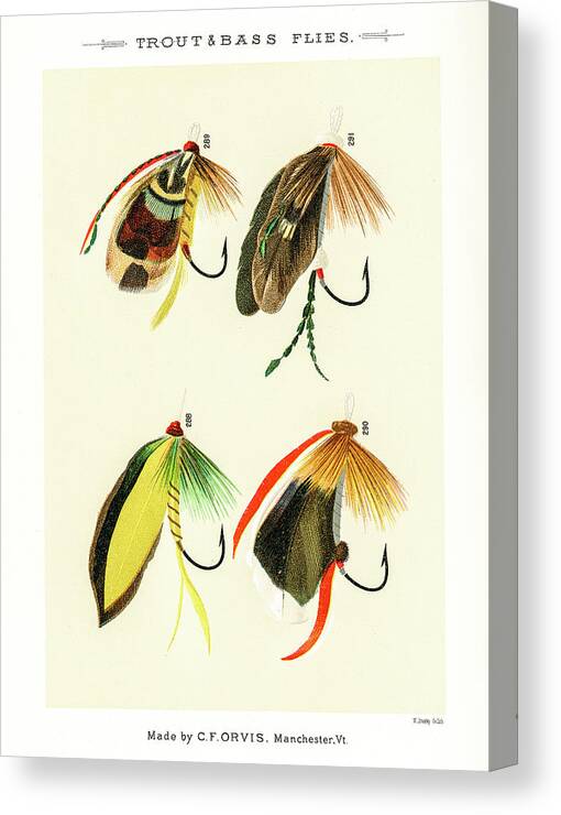 David Letts Canvas Print featuring the drawing Fly Fishing Lures 32 by David Letts