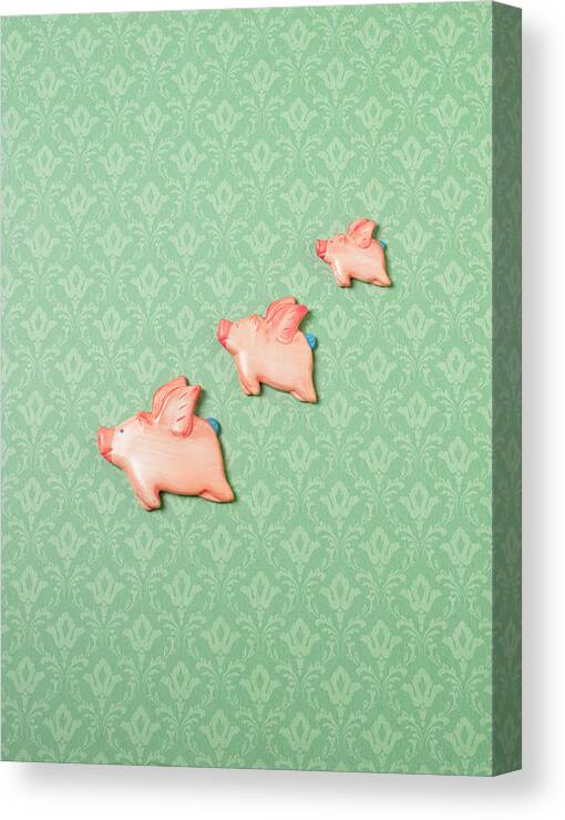 Disbelief Canvas Print featuring the photograph Flying Pig Ornaments On Wallpapered by Peter Dazeley