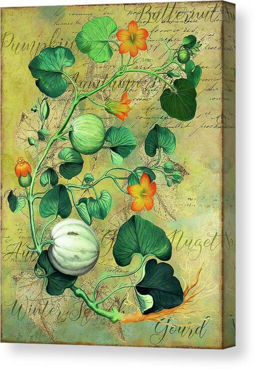 Gourds Canvas Print featuring the photograph Gourds by Cora Niele